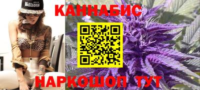 мяу мяу мука Кингисепп