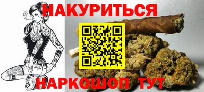 индика Усть-Джегута