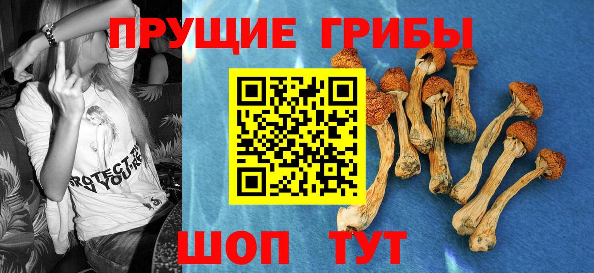 Галлюциногенные грибы мухоморы Красный Сулин