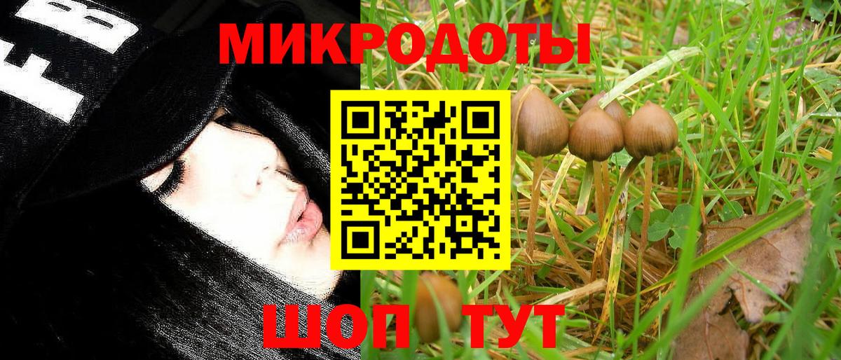 Красный Сулин  Псилоцибиновые грибы Psilocybine cubensis  Вход с VPN  Галлюциногенные грибы Psilocybine cubensis 